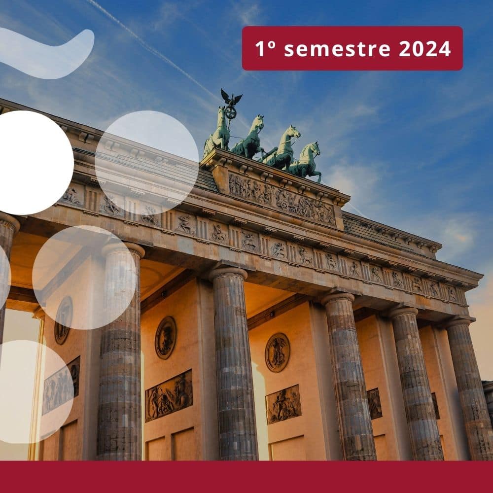 Importaciones de vino en ALEMANIA - Primer semestre 2024