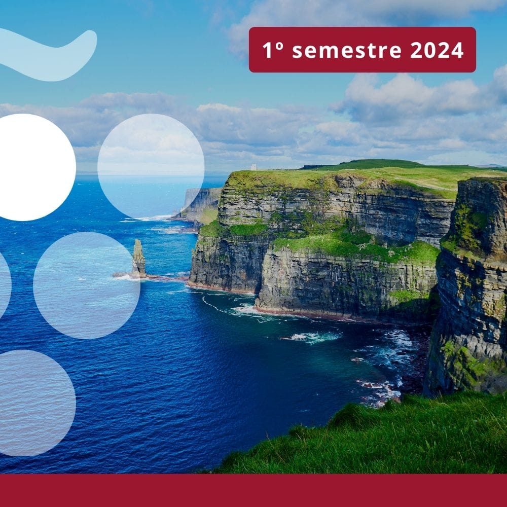 Importaciones de vino en IRLANDA - Primer semestre 2024