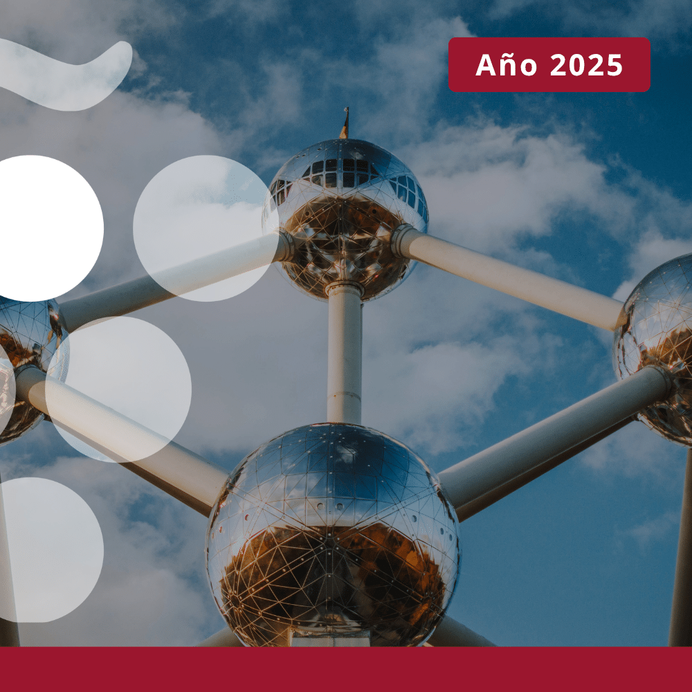 Importaciones de vino en BÉLGICA - Año 2025