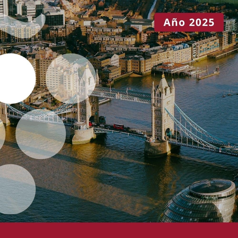 Importaciones de vino en REINO UNIDO - Año 2025
