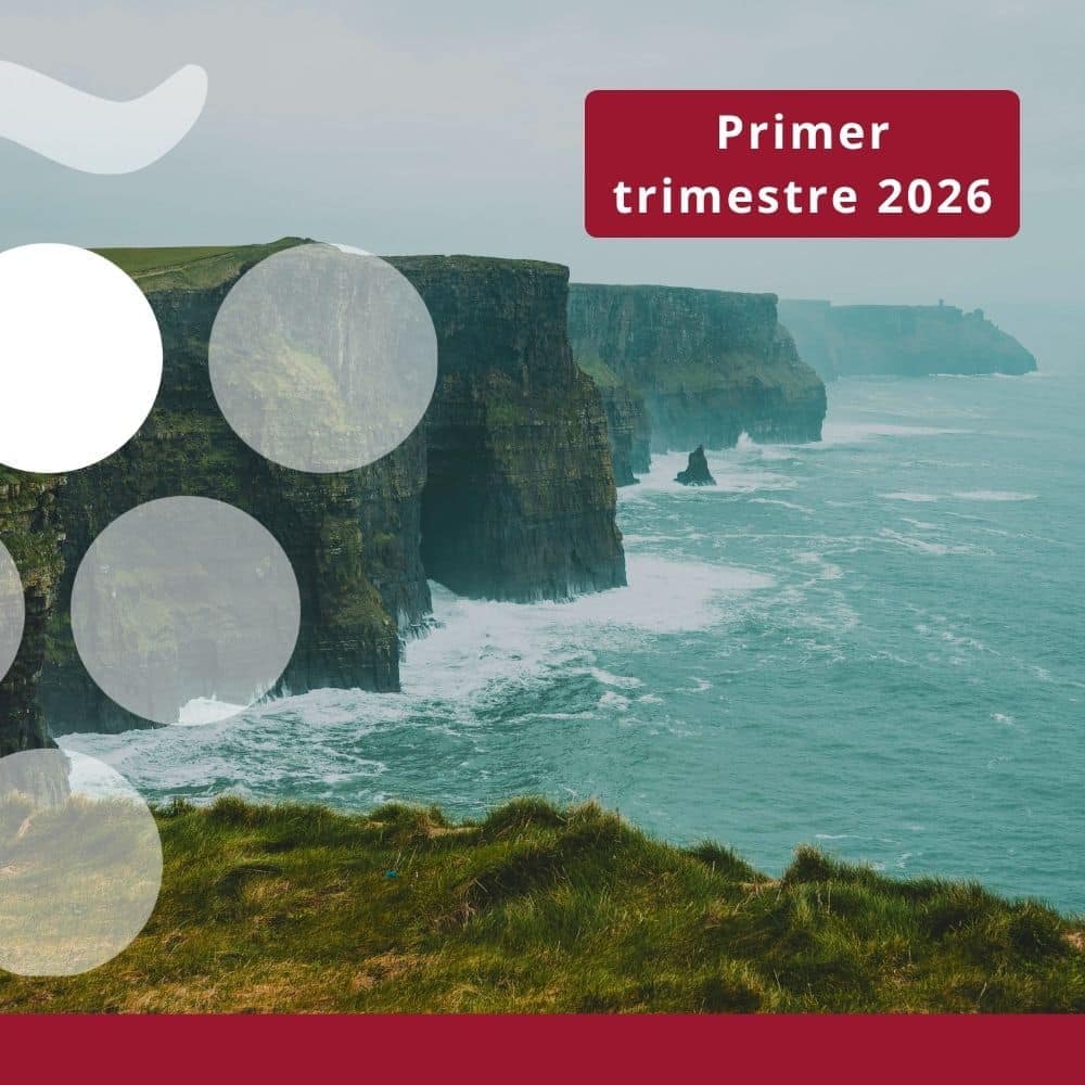 Importaciones de vino en IRLANDA - 1er Trimestre 2026