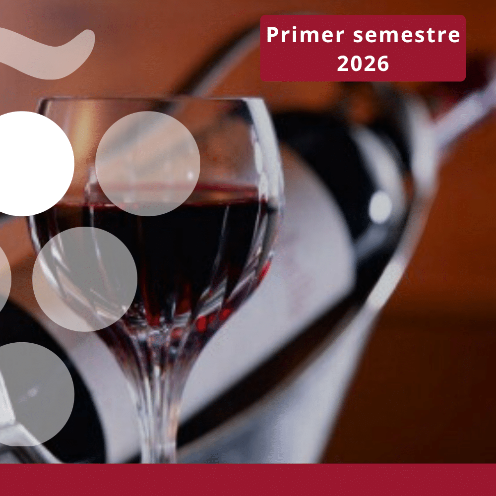 Principales importadores mundiales de vino - JUNIO 2026