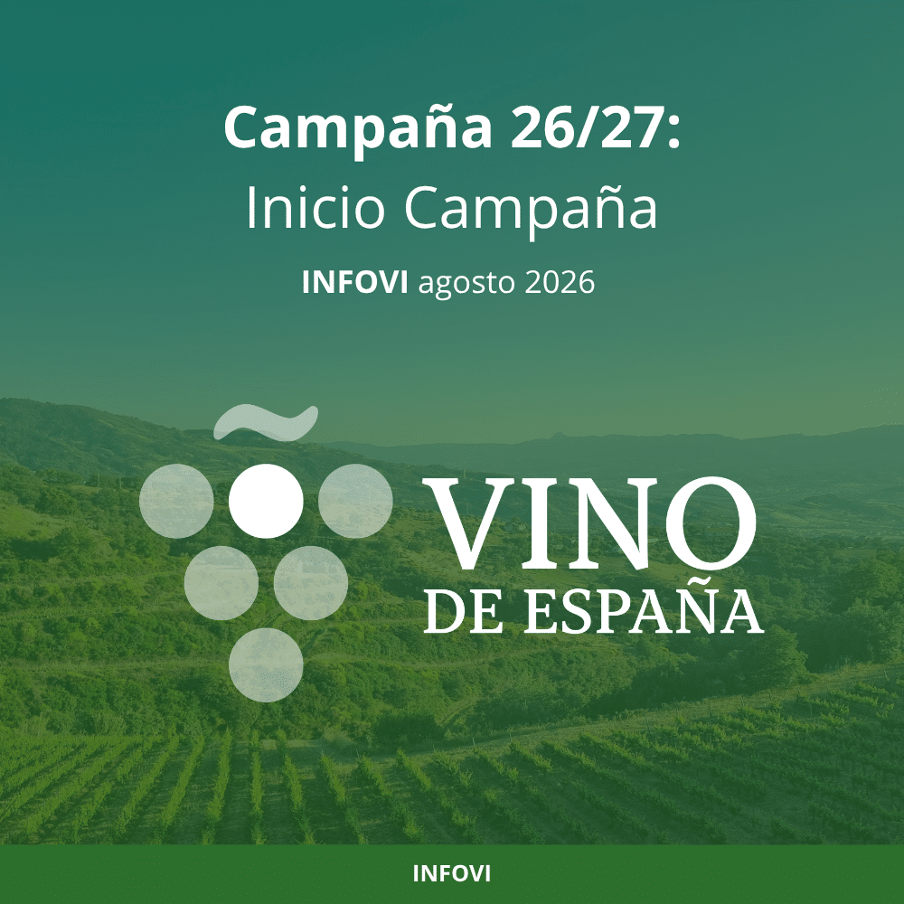 Informe Mensual Vitivinícola - Inicio campaña 2026/27