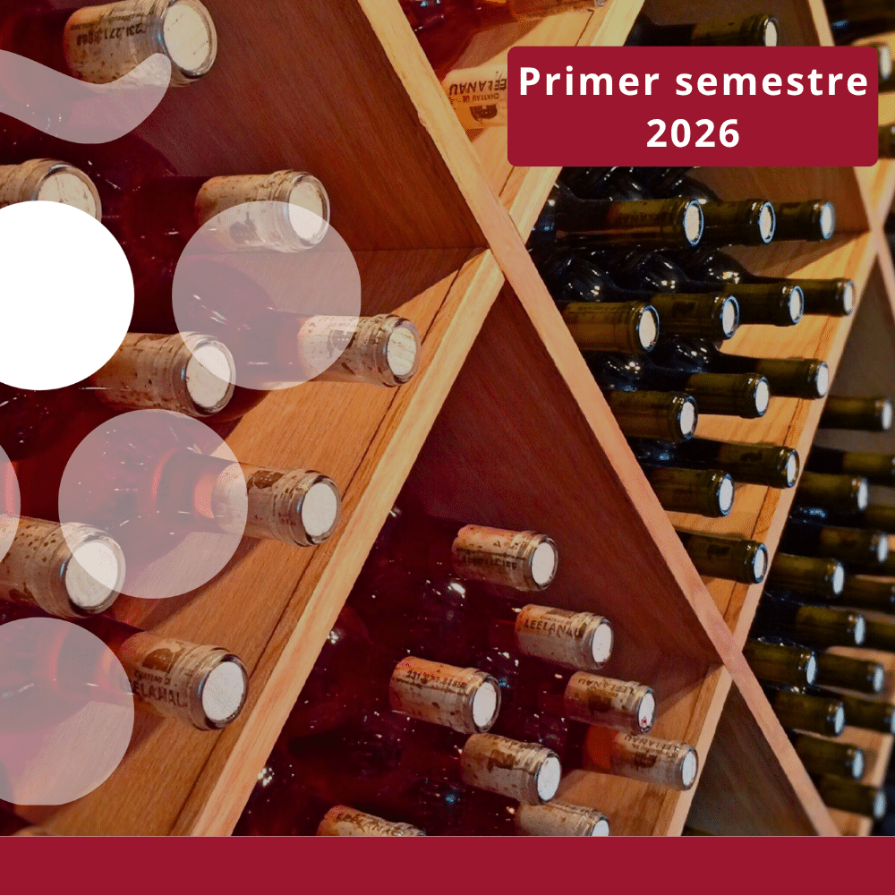 Principales exportadores mundiales de vino - JUNIO 2026