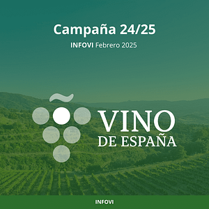 Informe económico INFOVI - Febrero 2025